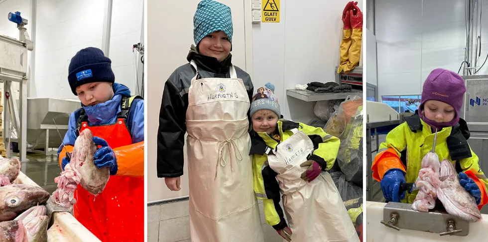 William Alexander (9) og Frøya Othelie Dahl (6) har de siste to skreisesongene skjært torsketunger ved Jangaard Export i Stamsund.