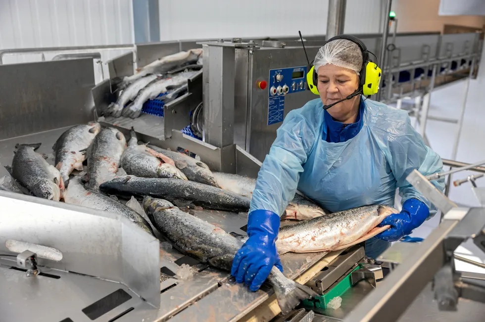 First Seafood opened a new processing facility for salmon in Godvik, Bergen in April.