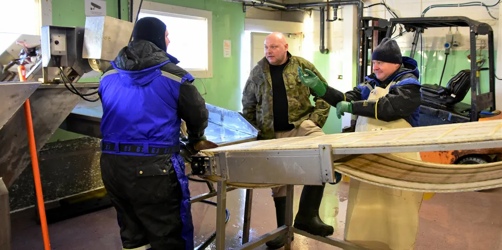 Med lite fisk på båndet har daglig leder Rafal Szatanik (midten) på fiskebruket Gadus Norway tid til å slå av en prat med Mariusz Filipski (t.v.) og Kryzsztof Szatanik.