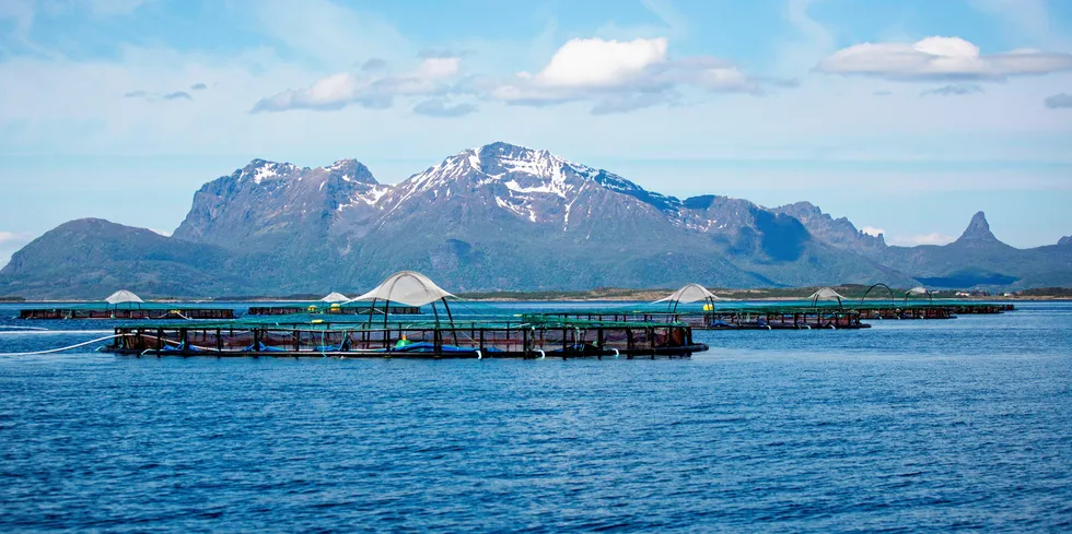 Cermaq-lokaliteten Svartfjell ligger i Sagfjorden – som er en fjordarm av Vestfjorden. Sagfjorden strekker seg rundt 30 kilometer i østlig retning mellom Hamarøy og Steigen kommuner i Nordland, fra Nordhamran på Engeløya til Tømmerneset.