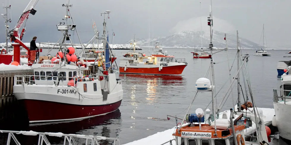 IKKE SOM I FJOR: Årets høstfiske for fiskebruket på Skjervøy har ikke vært som i fjor.