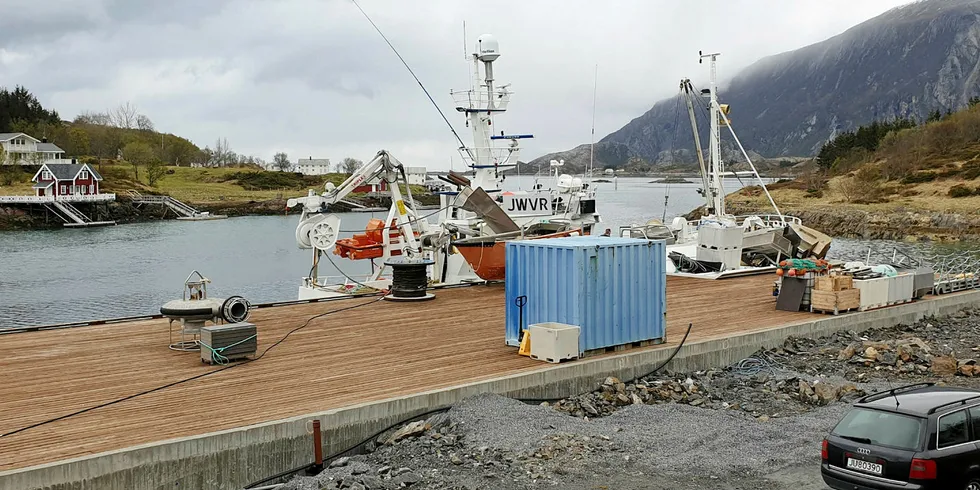 KONFLIKT: På denne tomta håper rederiet å få bygget en base for utstyr og mannskap. Det liker hyttefolket dårlig.