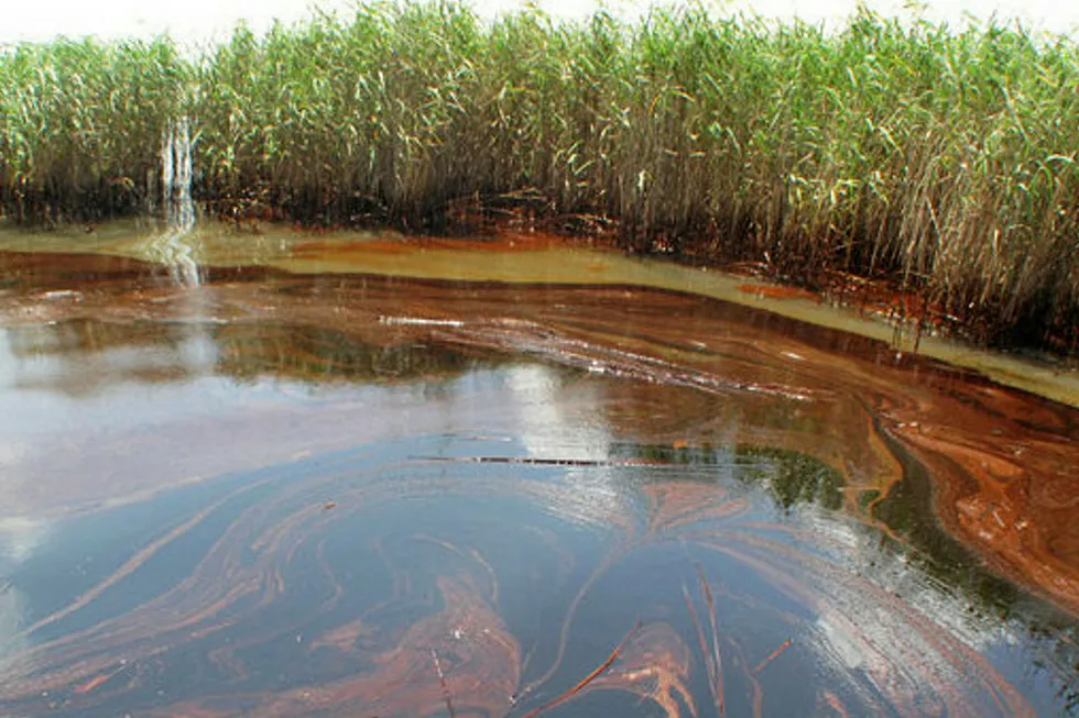 Oil spill: in Louisiana