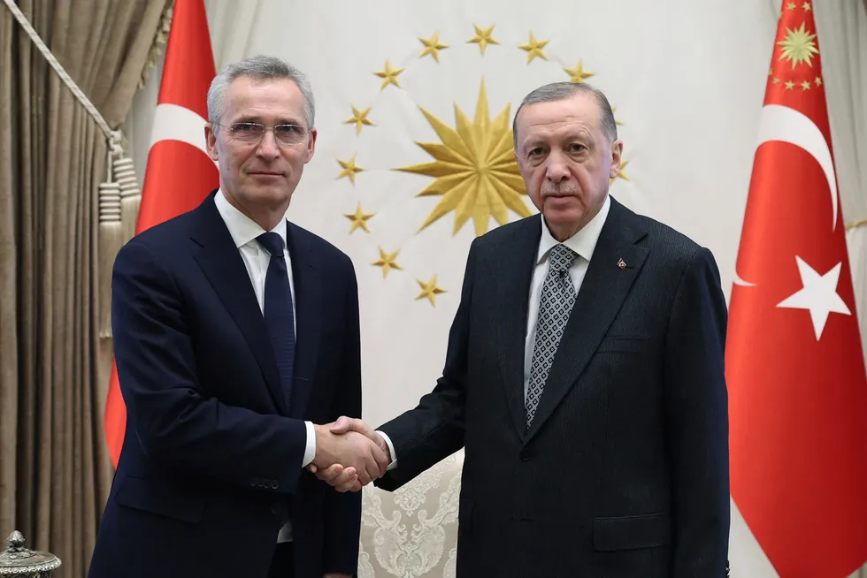Generalsekretær Stoltenberg møtte president Erdogan i februar. Nå blir det et nytt treff.