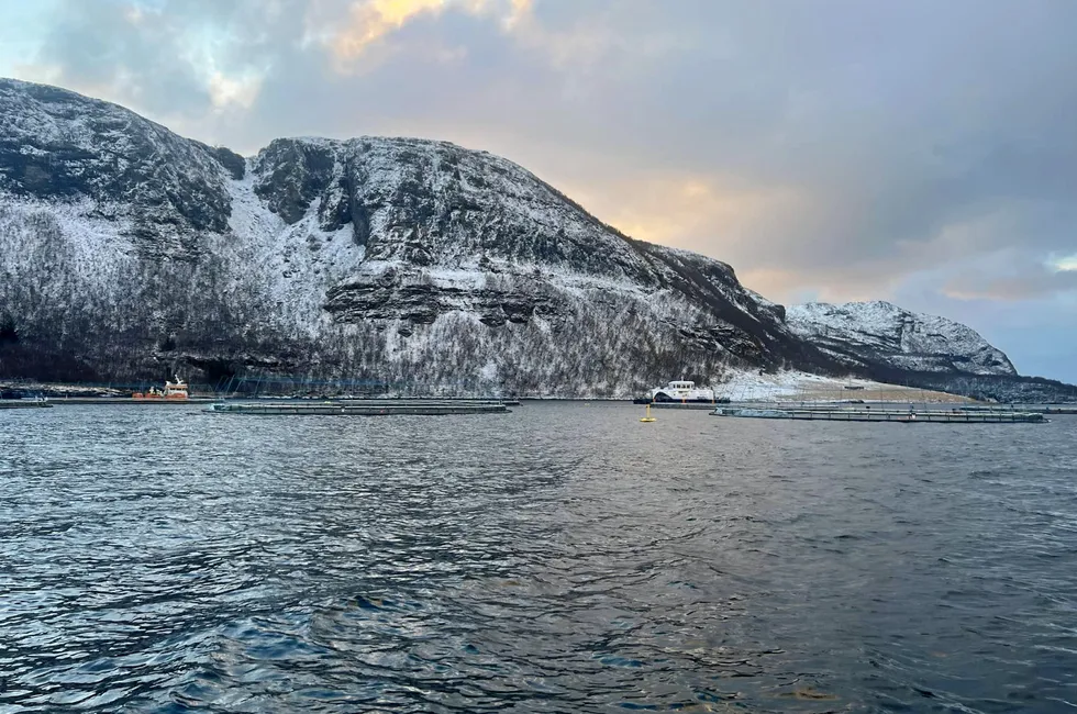 Norcod sin lokalitet Labukta i Nesna kommune.