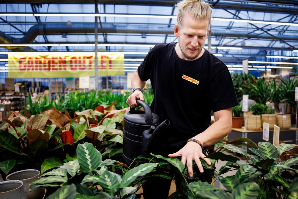 – Vi venter på beskjed på hva som vil skje med oss videre, sier daglig leder Michell Langerhorst i Plantasjens outlet-butikk i Vestby, Garden Outlet, som skal legges ned.