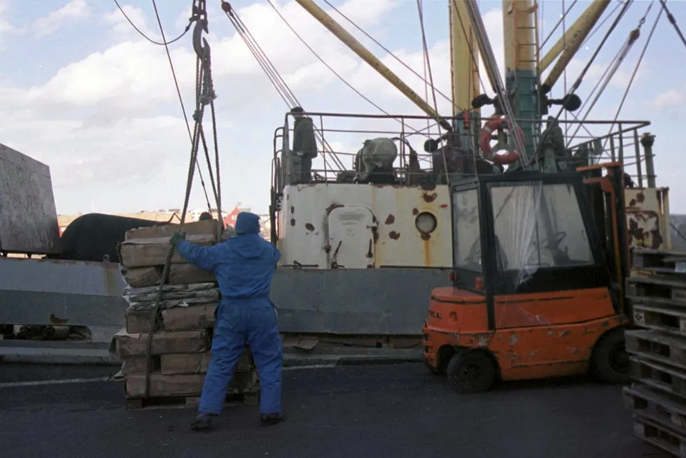 Russertorsk leveres i tre norske havner. Nye tall viser at norsk fiskeindustri kjøper billig russisk fisk og selger den tollfritt videre til EU.
