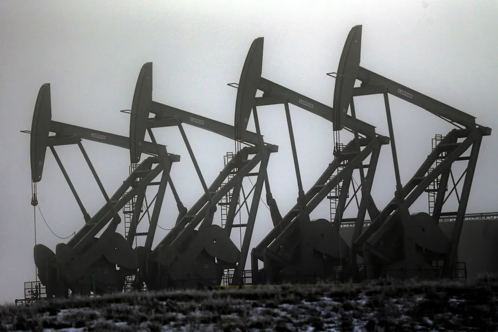 Pump jacks in Williston: the heart of North Dakota’s oil patch