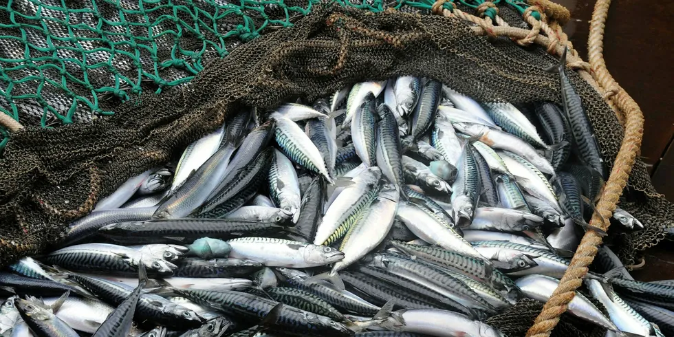 TripleNine Group produserer fiskemel og fiskeolje.