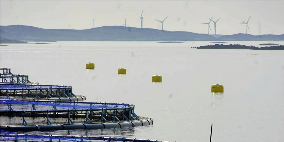 Oppdretterne i Midt-Norge har fått bedre kontroll på lusa. (Foto: Marine Harvest)