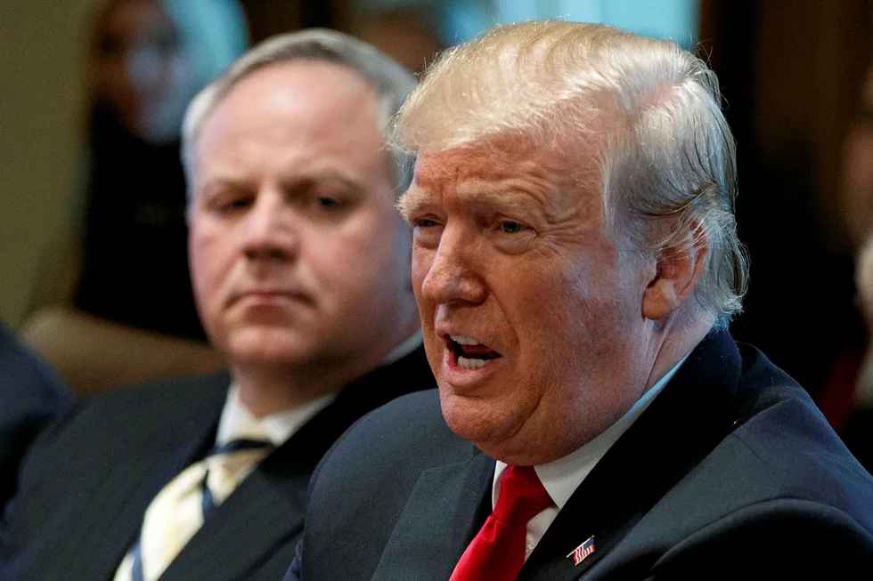 President Donald Trump, with acting Secretary of the Interior David Bernhardt, left, speaks during a cabinet meeting at the White House in Washington.