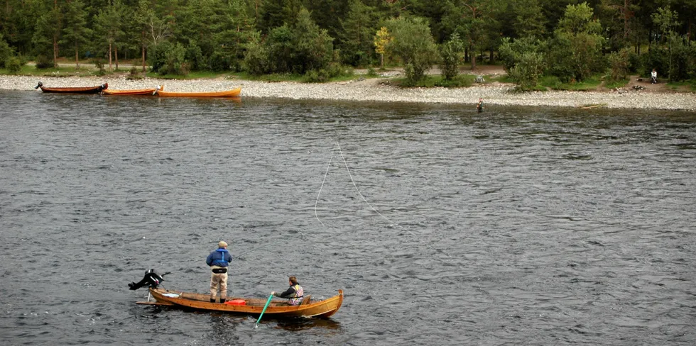 Laksefiske i Altaelva