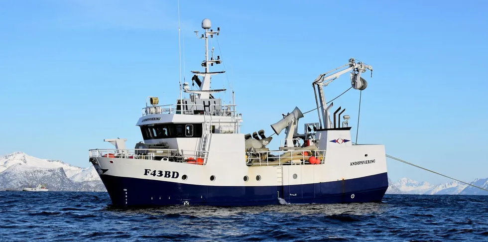 «Andopsværing» fra Båtsfjord er en av snurrevadbåtene som nå jakter på blåkveite ute i havet vest for Sandnessjøen.