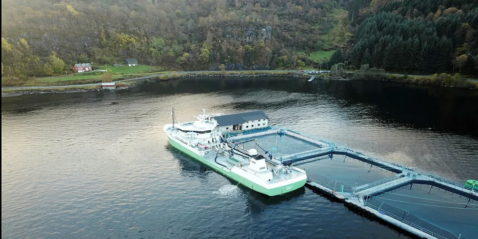 Lokaliteten Djupedalen i Fusa kommune har tre merdar, men det er kun den inste av merdane som er i bruk og som er lukka. Selskapet vurderer å lage lukka system også i dei to andre bura om dei slepp å bli ein del av felles brakklegging i området.