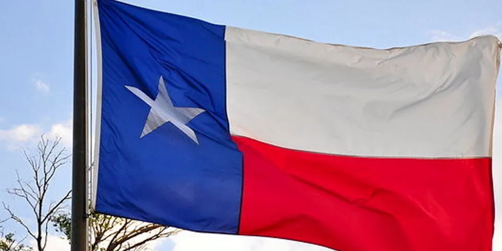 . Texas flag.