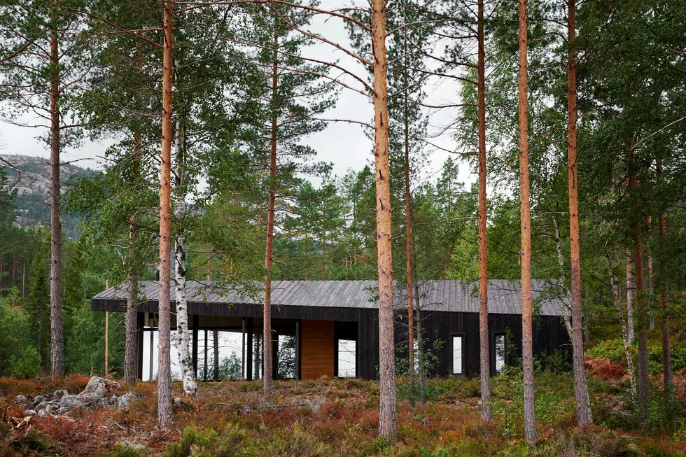 Flere hyttearkitekter tror fremtidens hytter vil bli plassert mer i pakt med naturen. Denne hytta, som er tegnet av Snøhetta for Rindalshytter, er et eksempel på det.