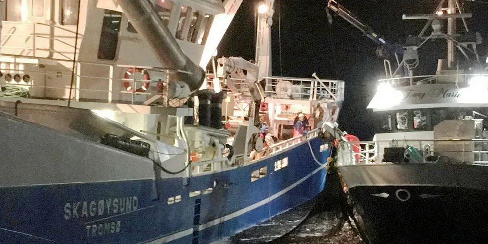 HEKTISK: Levering av låssatt sild på Kvænangen i høst. Fiskebåten «Tonny Marie» (t.h.) og føringsbåt for anledningen, «Skagøysund».