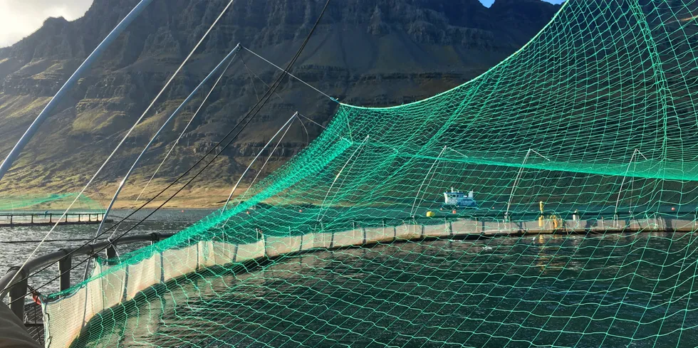 Ice Fish Farm driver oppdrett nordøst på Island.