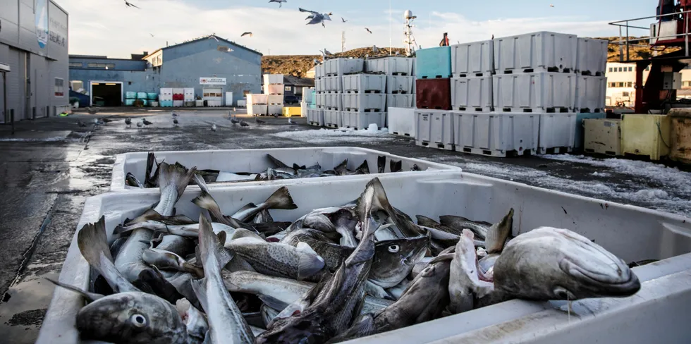 Å snakke om helårlige arbeidsplasser og mer bearbeiding gir ingen mening dersom næringa vil måtte ta et hovedansvar for både bosetting og distriktspolitiske målsettinger.