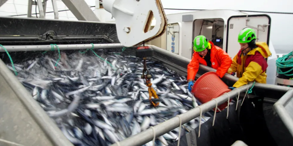 SV peker på at fiskerinæringen står ovenfor store rekrutteringsutfordringer.