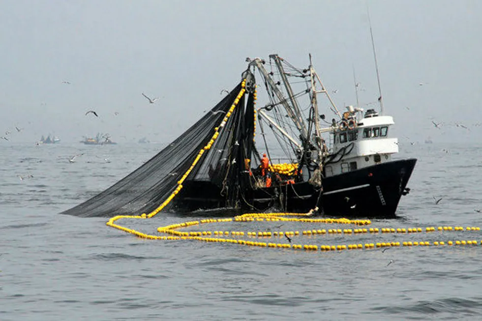 Investigators are casting their nets wider in anchovy quota fixing case.