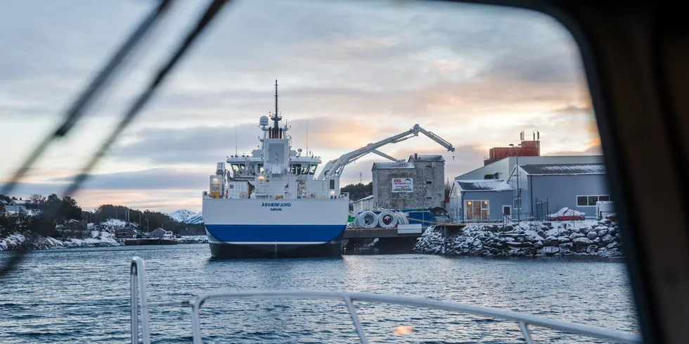 Lakseskatt er blitt en av høstens hete debatter i Norge. På bildet ser vi en båt tilhørende Frøy, som nå er en del av Salmar-konsernet som domineres av Gustav Witzøe.