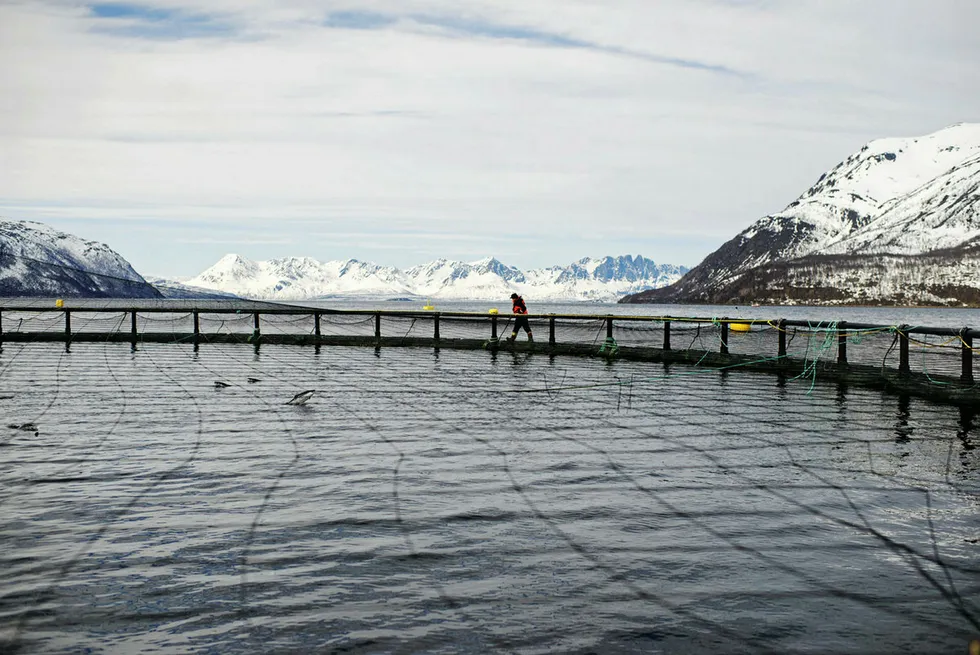 Salmon farm in Kvænangen kommune, Troms.