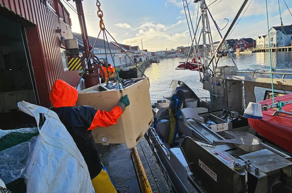 I altfor mange tiår har vi hatt en ensidig fiskeripolitikk, som stort sett bare har sett på flåtedelen av næringen, skriver klyngeleder Maiken Johnsen.