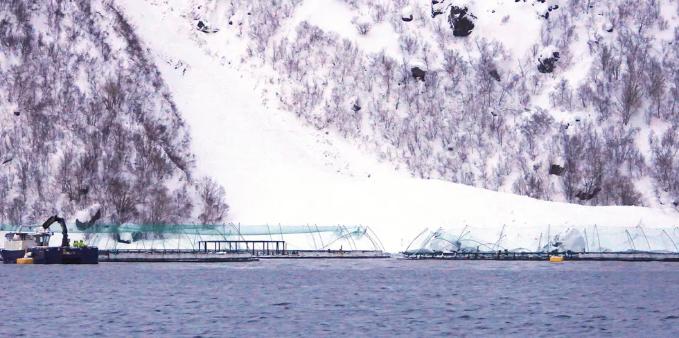 Bilde av snøraset ved lokaliteten Davatluft utenfor Stjernøya i Alta.