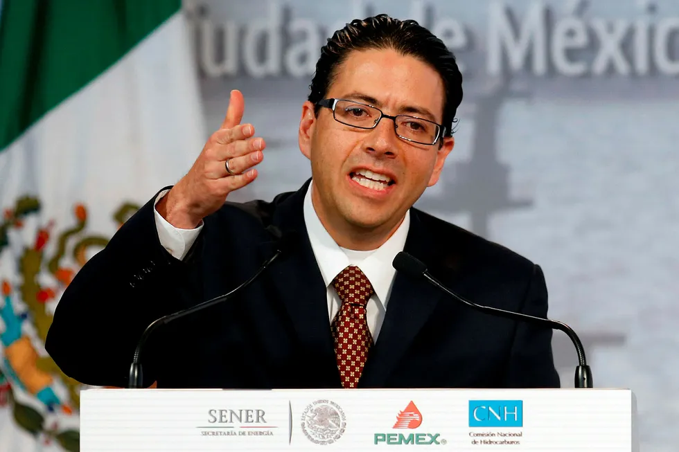 Pemex push: CNH President Commissioner Juan Carlos Zepeda urges move towards listing state-led oil company