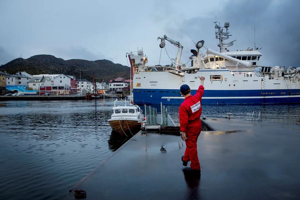 Nakayama fra Thyms i Tokyo har nå kjøpt 500 nye tonn makrell av båten Gardar i Fosnavåg utenfor Ålesund.