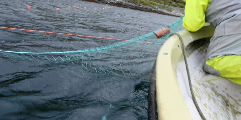 VIKTIG: Sjølaksefisket spiller fortsatt en viktig rolle for næringsgrunnlaget og kyst- og fjordstrøk, mener Fjordfiskenemnda, og avviser innstrammingsforslagene fra Klima- og miljøverndepartementet.