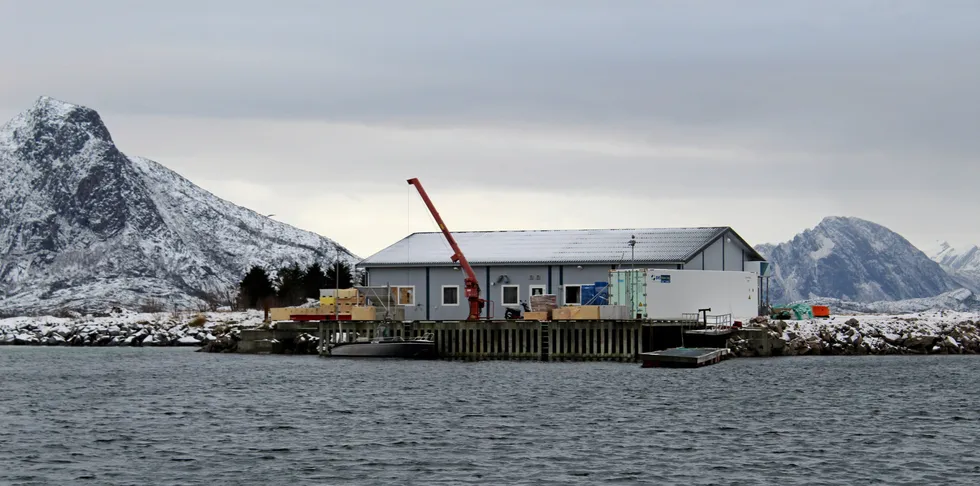 – Trasig, sier styreleder Rune Fjellgaard om at Træna Seafood nå melder oppbud.