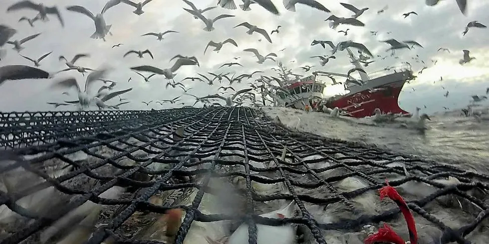 FORSKNING: De nye snurrevadene ble testet på tokt med «Ballstadøy».Foto: Ólafur Arnar Ingolfsson