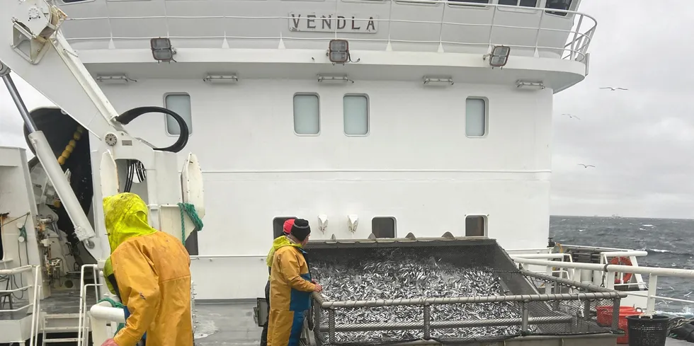 "Vendla" med første loddefangst fra Island.