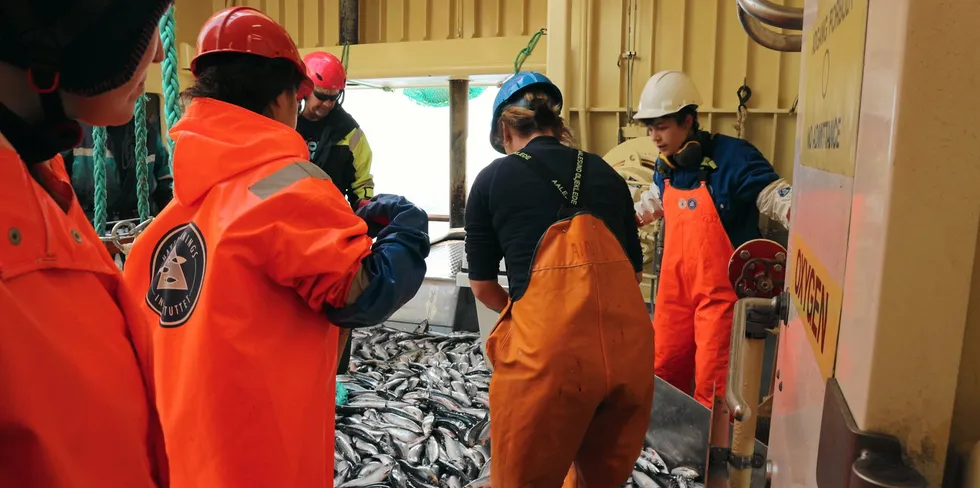 Havforskningsinstituttet oppsummerer hovedtrekkene fra makrelltoktet.