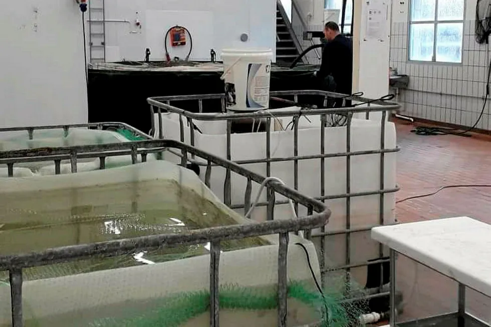 Happy Prawns' pilot plant in Sirevag in Rogaland.