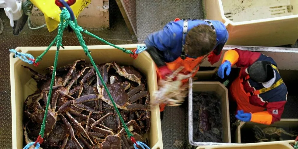 Kongekrabbefiskerne kan få samme inntekt fra krabben i år som for to år siden selv om kvoten er betydelig redusert.Foto: Geir Johansen