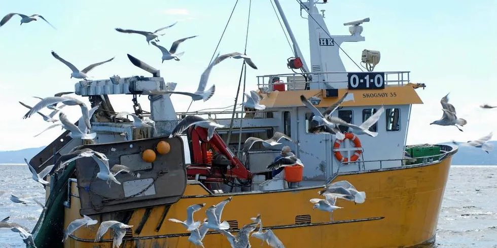 Fisker i Oslofjorden og i resten av sørøstlandet vil bli hardt rammet av et fiskeforbud, mener Norges Fiskarlag som har invitert Fiskeridirektoratet til dialogmøte i Sandefjord.Arkivfoto: Edvard Hambro