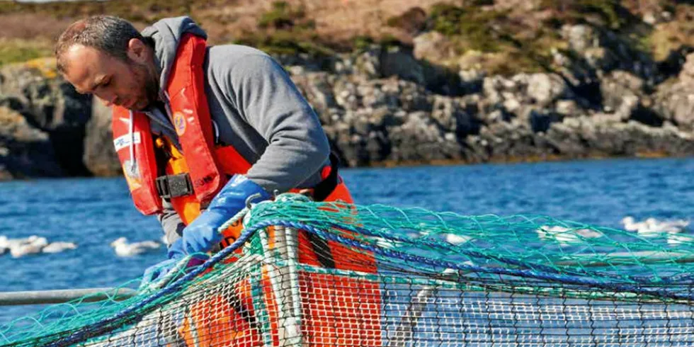 Scottish salmon farm site.