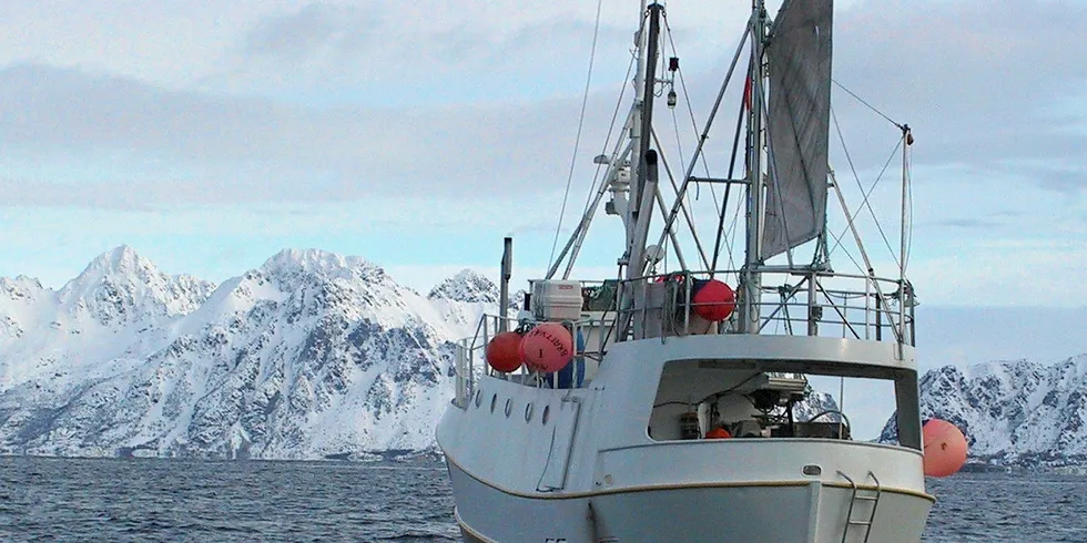 HENNINGSVÆRBOKSEN: Nå er det åpnet for fiske i området som kalles Henningsværboksen.