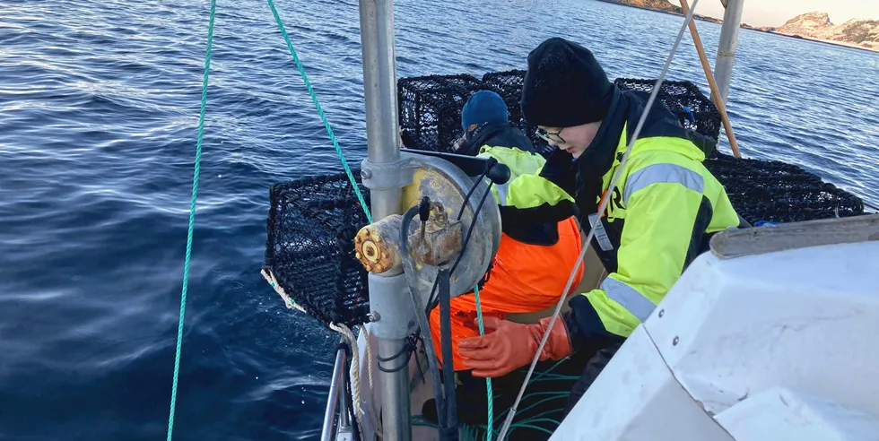 Henrik Myklebust på havet og drar teiner med kompis. Nå kan det hende han ikke får selge ved kai, fordi jurister i Bergen har funnet noen nye paragrafer å henge seg opp i.