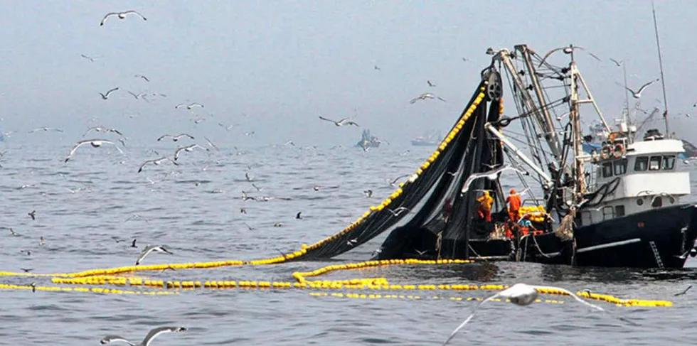 Peruvian authorities set the country's anchovy, or anchoveta, harvest higher for the key north-central region.