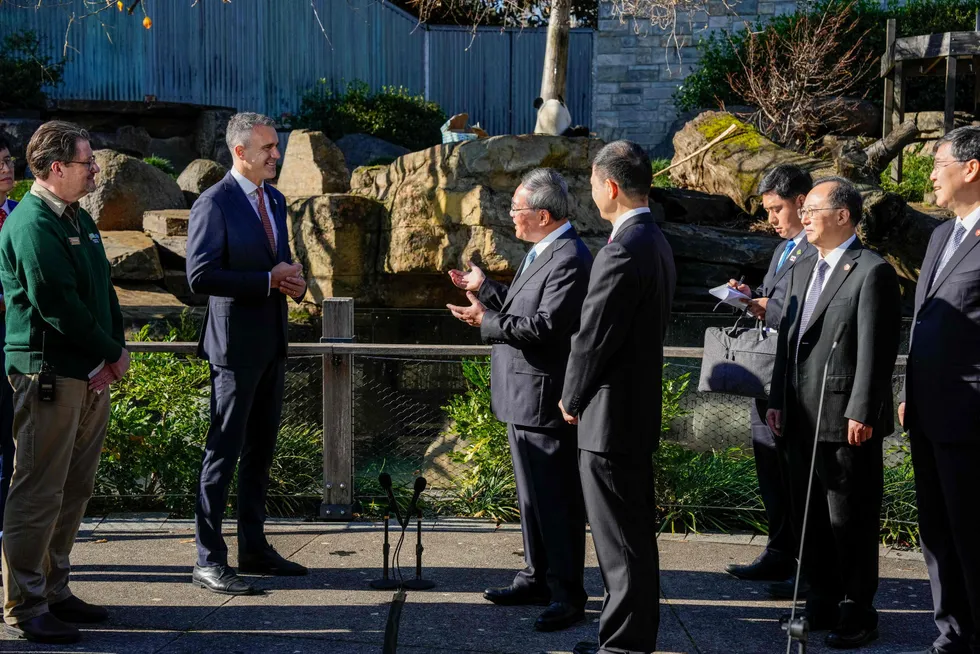 Kinas statsminister Li Qiang forsøker seg på en sjarmoffensiv og pandadiplomati under rundreisen i New Zealand og Australia. Her fra Adelaide Zoo, som skal få nye pandaer på utlån fra Kina.