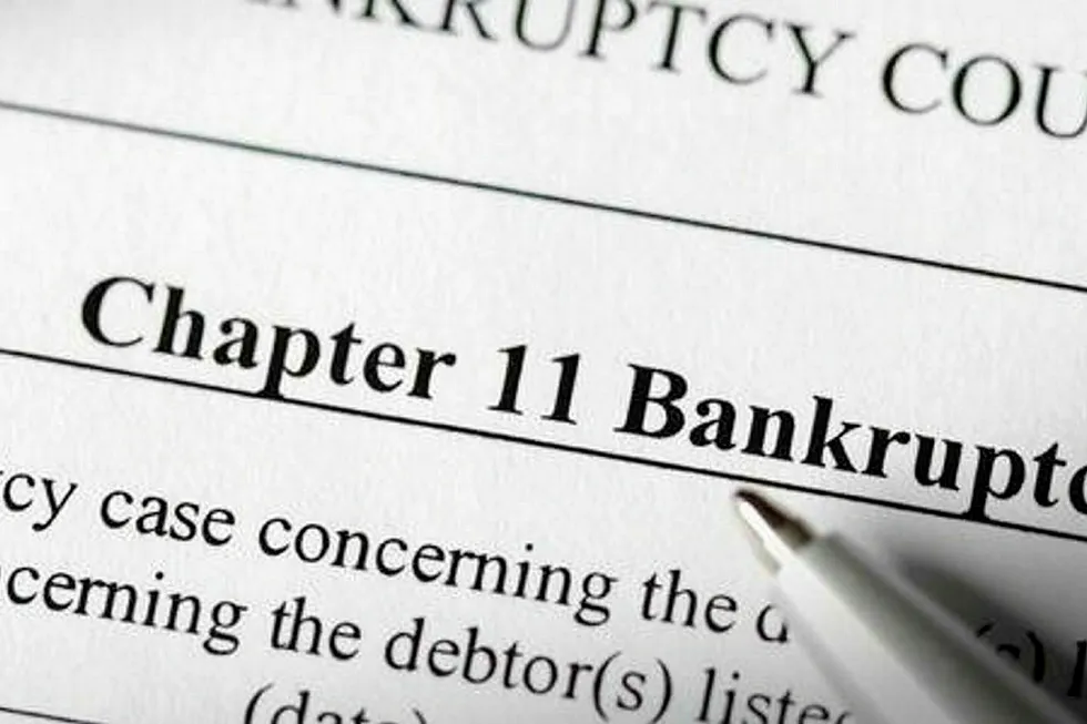 Chapter 11: Already 32 companies have filed for bankruptcy protection this year