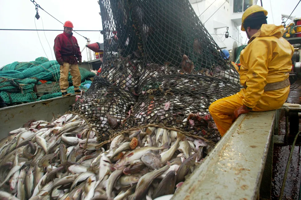 Franske fiskere med torsk i arktisk farvann. Nå setter EU kvoter utenfor Svalbard på egen hånd.