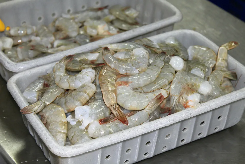 The increase in shrimp production in India is the most remarkable, but Ecuador also increased production steadily over the past few years.