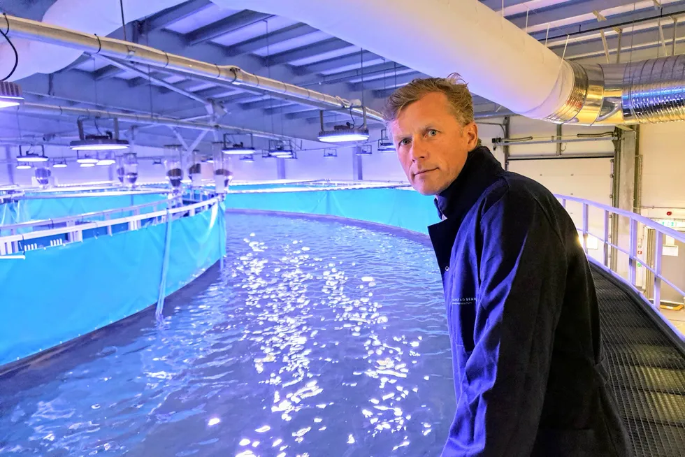 Bernt Olav Røttingsnes er konsernsjef i Nordic Aquafarms, som blant annet eier Fredrikstad Seafood. Her i anlegget i Fredrikstad vurderer nå selskapet å produsere yellowtail kingfish.