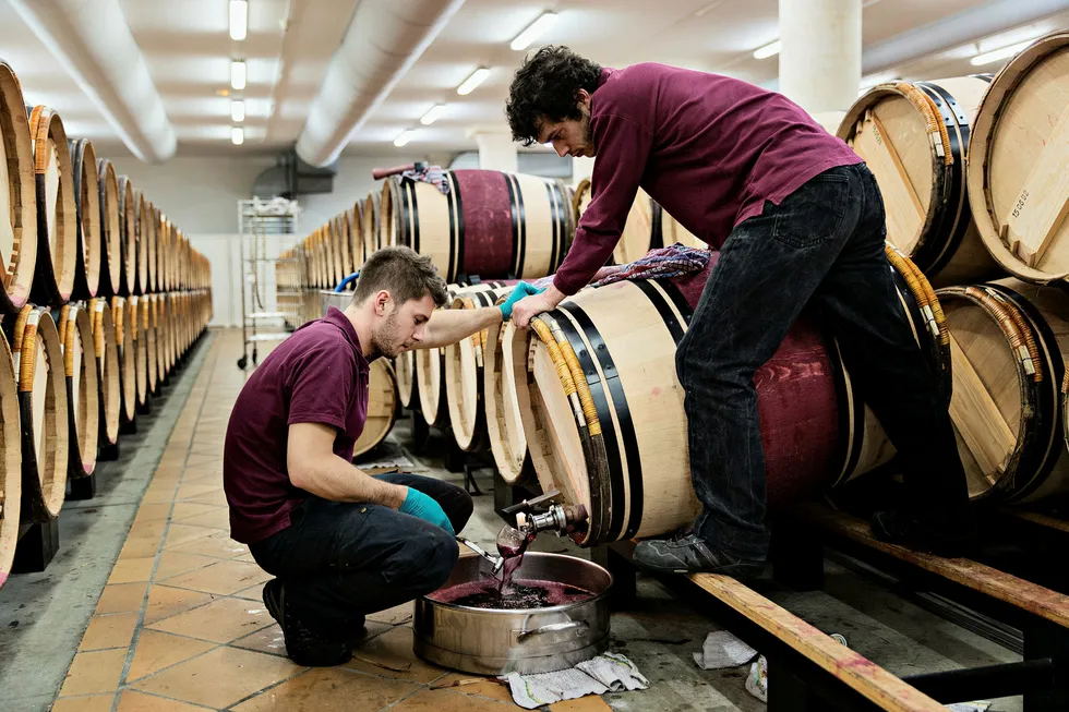 Bordeaux. En god rødvin fra Bordeaux har blitt utstukket utallige ganger før den havner på flaske. Vi har testet nyhetene fra Bordeaux i januar. Foto: Sune Eriksen