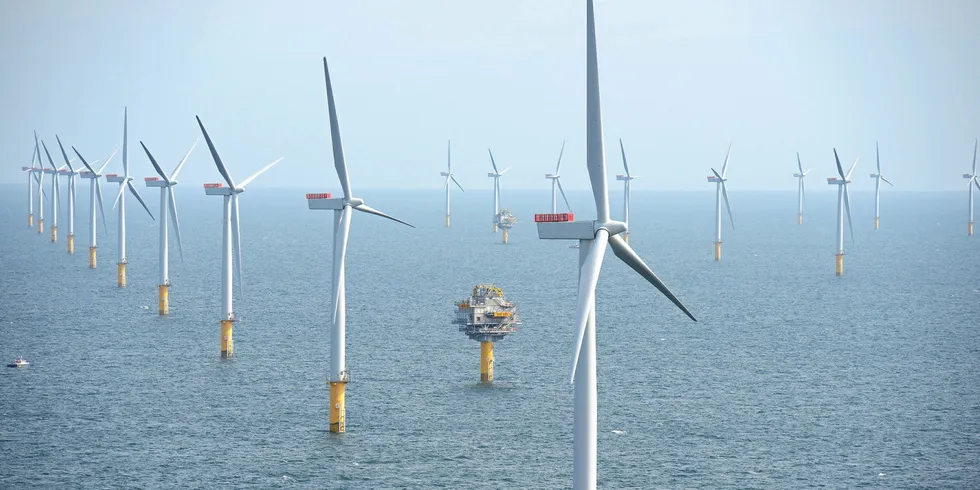 The UK is currently set to waste enough wind energy to power more than 5 million households by the end of the decade, says the report.
